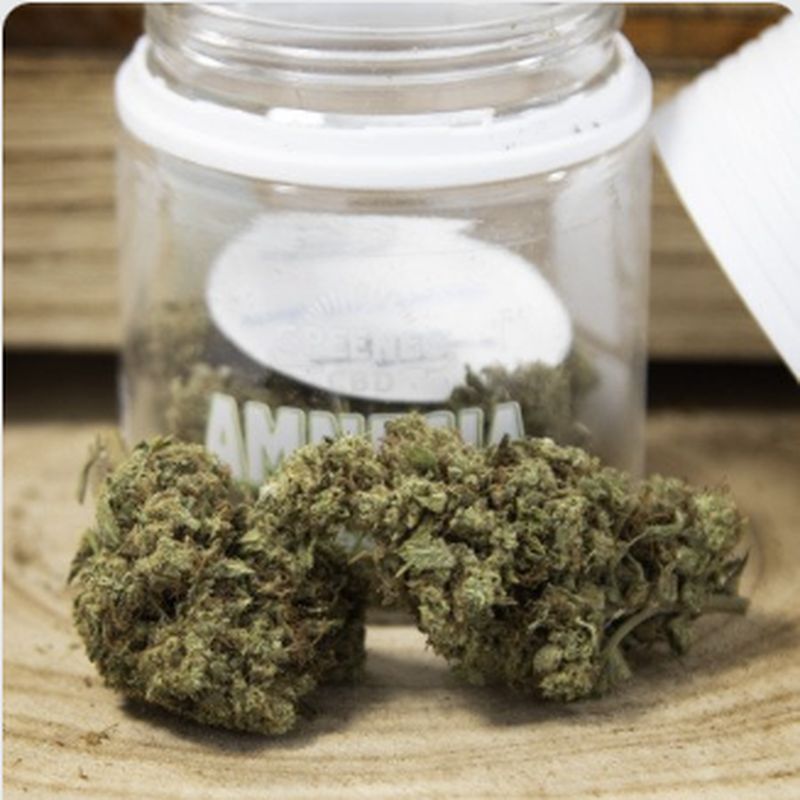 Fleurs de CBD Amnesia