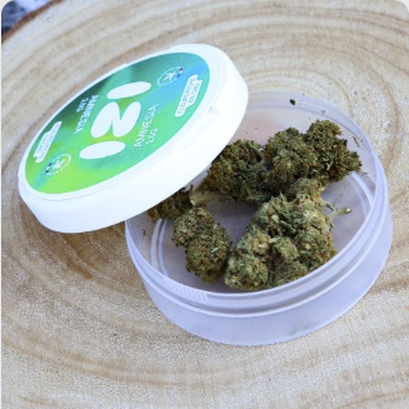 Fleurs de CBD Amnesia