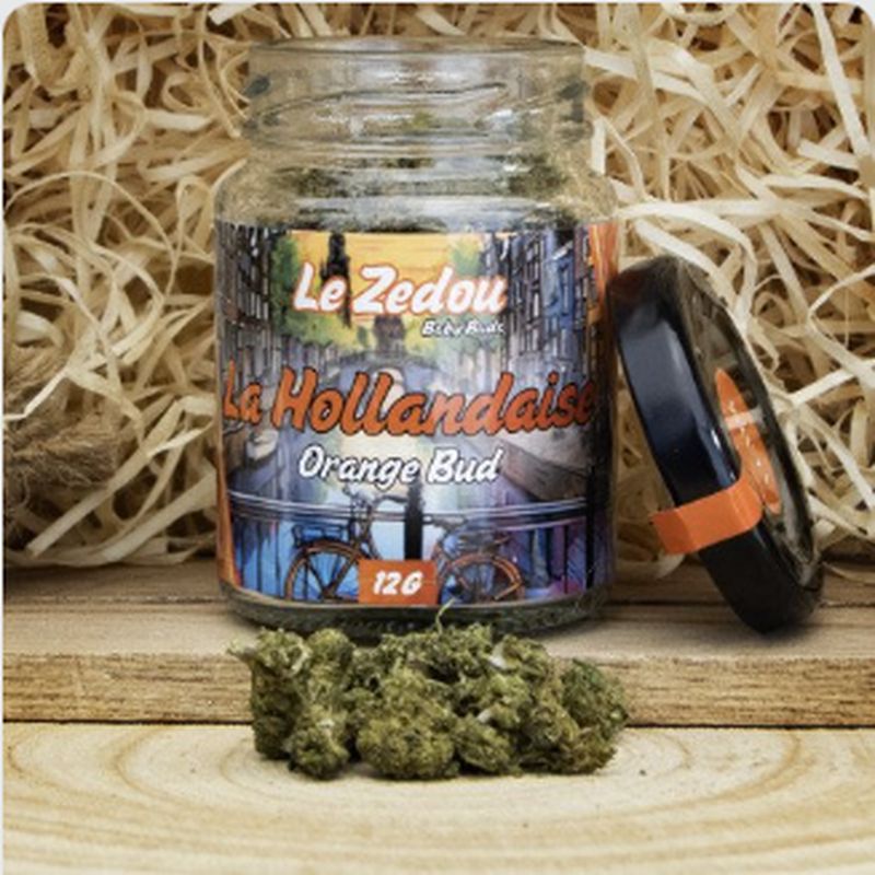 Fleurs de CBD La Hollandaise "Orange Bud"