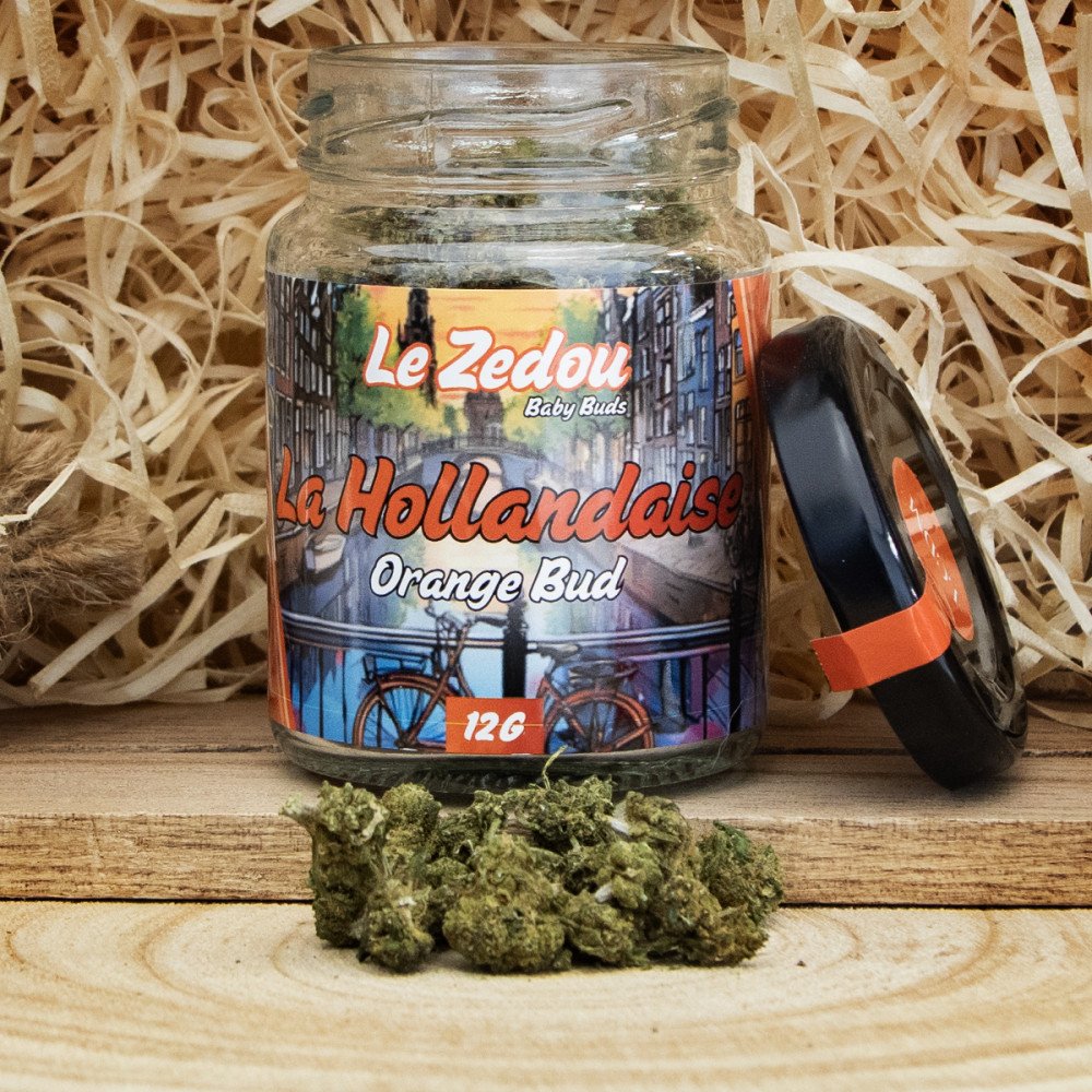 Fleurs de CBD La Hollandaise "Orange Bud" 12gr
