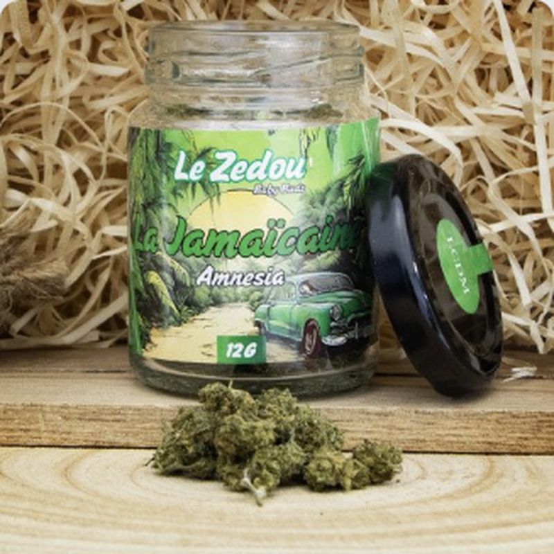 Fleurs de CBD La Jamaïcaine "Amnesia"